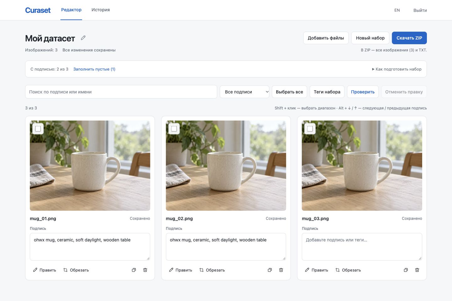 Curaset editor: images, individual captions and a shared tag for selected images